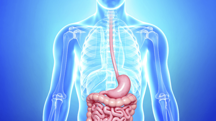 5 Effective Ways to Improve Your Digestion
