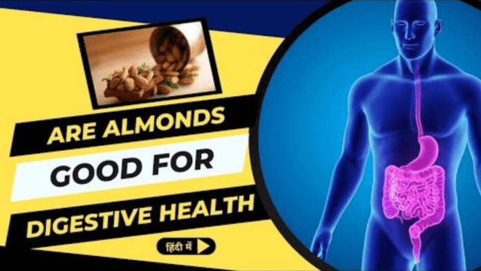 Are Almonds Good for Gut Health