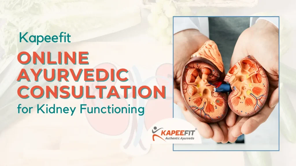 Online Ayurvedic Consultation for Kidney Functioning