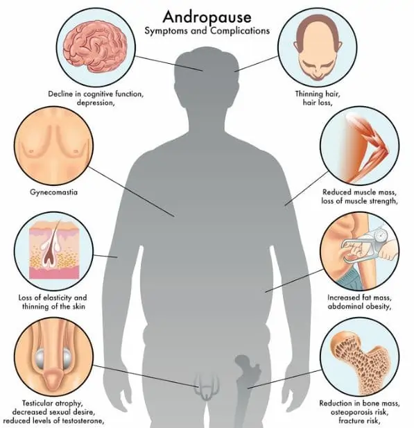 Primary Symptoms of Andropause