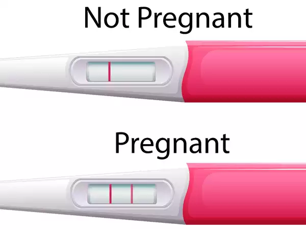 Home Pregnancy Tests to Identify Early Pregnancy